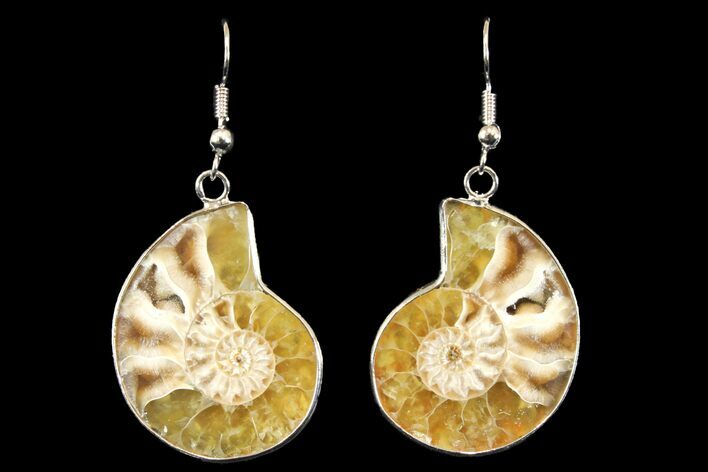 Fossil Ammonite Earrings - Million Years Old #142874